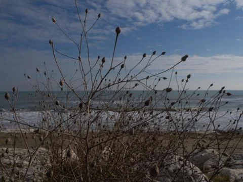 Nature on the coast Foto stock