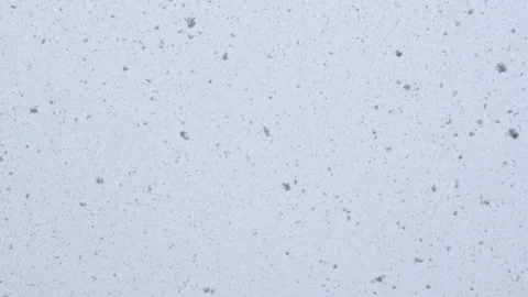 Nature, Cold Temperature, Horizontal, Outdoors, Day, Low Angle View, Winter, Stock Footage 95847222