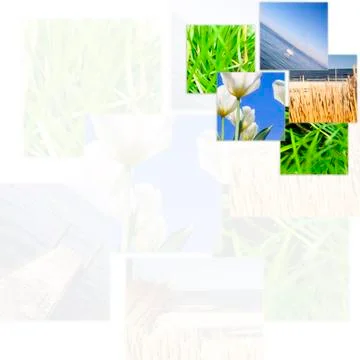 Nature collage. Stock Photos