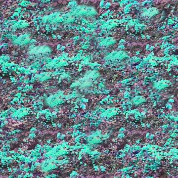 Nature Collage Texture Background Stock Illustration