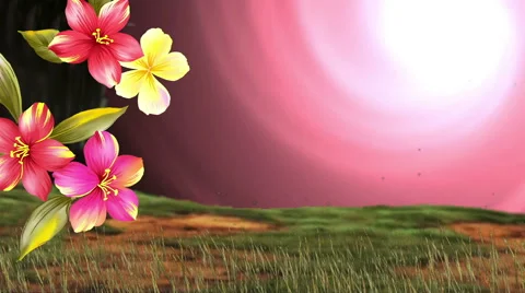 Nature, Colored Flowers Stock Footage 45954424