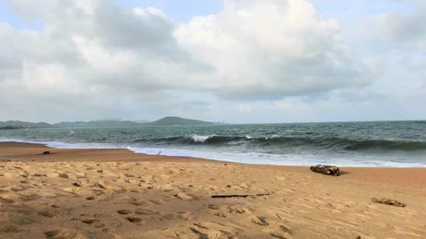 The nature comes alive at the beach, where the waves gently kiss the sandy shore Stock Footage 319884634
