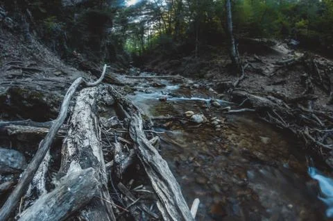 Nature composition Stock Photos