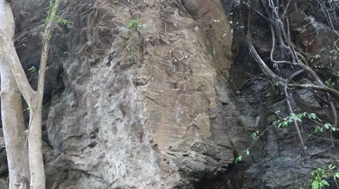 Nature composition.2 Stock Footage 48954431