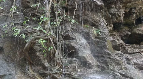 Nature composition.3 Stock Footage 48954449