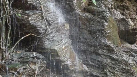 Nature composition.4 Stock Footage 48954659