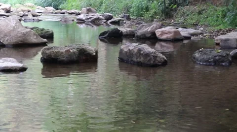 Nature composition.6 Stock-Footage 48954886