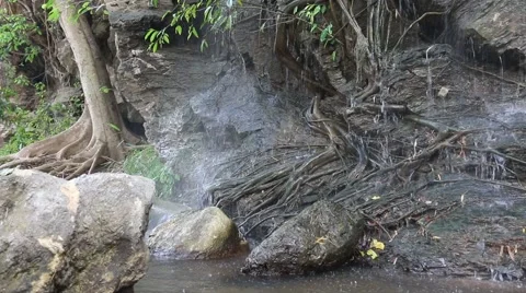 Nature composition.7 Stock Footage 48954858