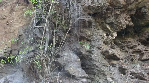 Nature composition.8 Stock Footage 48954661