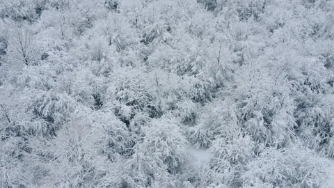 Nature concept. Aerial drone view of wonderful winter with frost fresh air Stock Footage 294031727