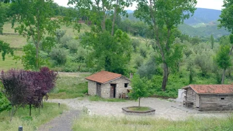 Nature concept idea. Stock Footage 181233874