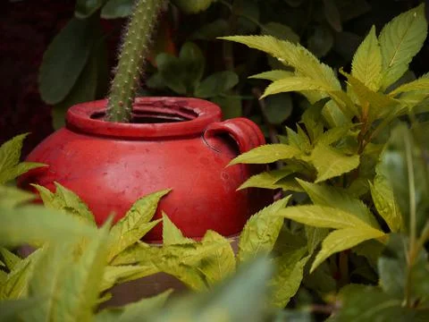 Nature concept object Stock Photos