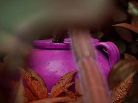 Nature concept object Stock-Fotos