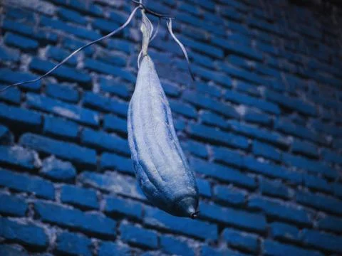 Nature concept object Stock Photos