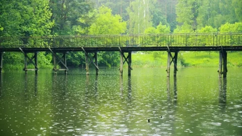Nature connection and serenity concept, wooden bridge over calm lake water Stock Footage 336731832
