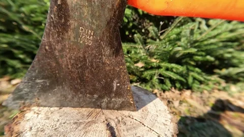 Nature conservation DIN Stock Footage 293253132