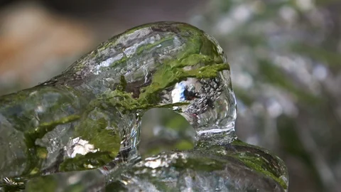 Nature covered by ice and cryogenate Stock Footage 101852345