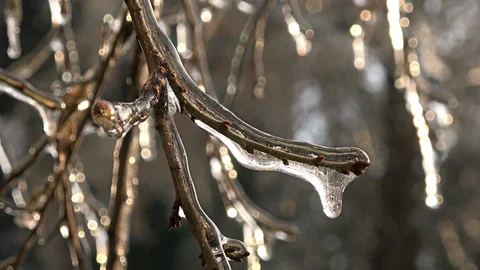 Nature covered by ice and cryogenate Stock-Footage 101853085