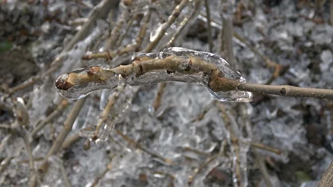 Nature covered by ice and cryogenate Stock Footage 101855469
