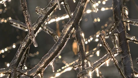 Nature covered by ice and cryogenate Stock Footage 101855535