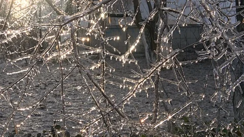 Nature covered by ice and cryogenate Stock Footage 101855539