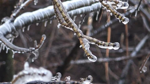Nature covered by ice and cryogenate Stock Footage 101862026