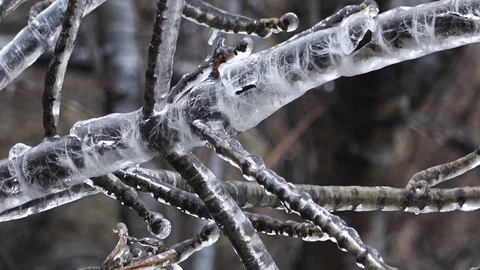 Nature covered by ice and cryogenate Stock Footage 101862034