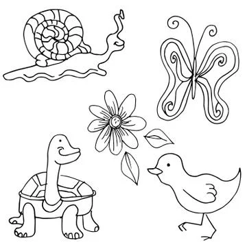 Nature creatures Stock Illustration