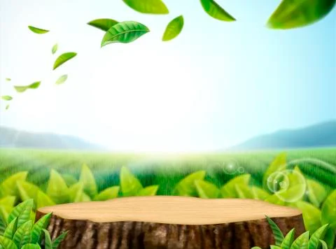 Nature cut tree trunk background Stock Illustration