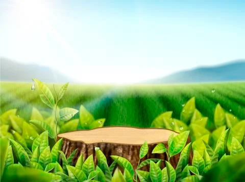 Nature cut tree trunk background Stock Illustration
