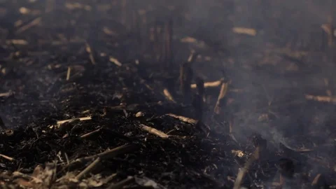 Nature damage ecological environmental destruction Stock Footage 80840587