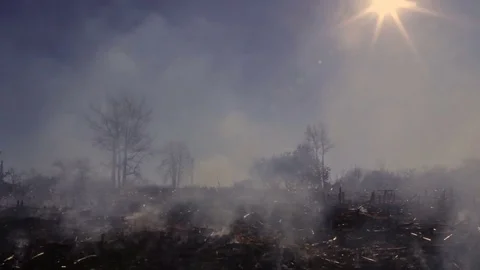 Nature damage ecological environmental destruction Stock Footage 80840716