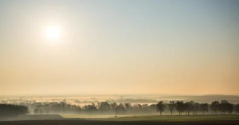Nature at dawn Stock Photos