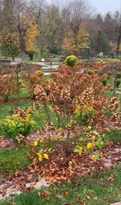 Nature day Video stock 227373473