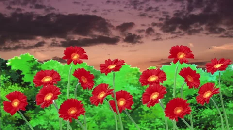 Nature, Day, Green Field, Red Flowers Stock Footage 45955816