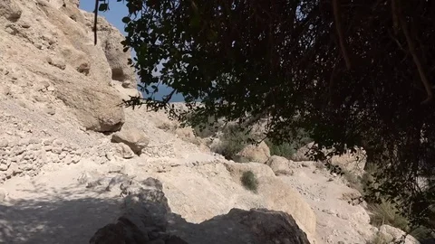 The nature of the dead sea Stock Footage 81237237