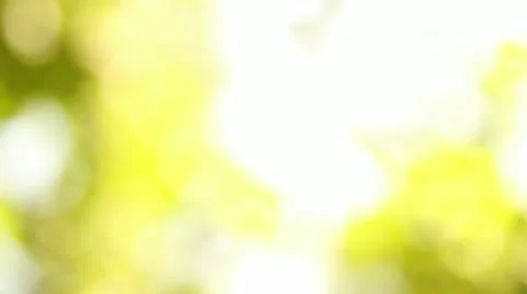Nature defocused background 스톡 동영상 11532529