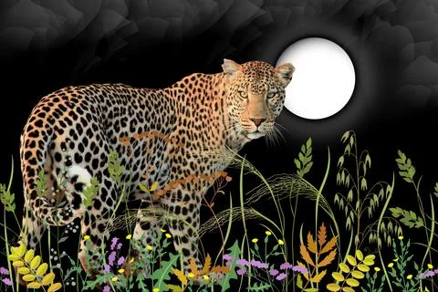 Nature design. Stock Illustration