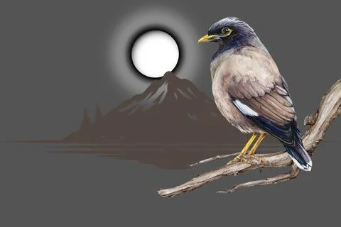Nature design. Stock Illustration