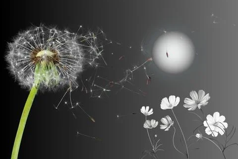 Nature design. Stock Illustration