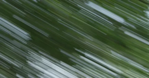 Nature diagonal wipe transitions motion graphics appearing and disappearing Stock-Footage 221202391