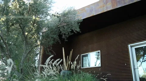 Nature Door Stock Footage 40815371