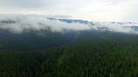 Nature Drone Aerials Vídeo Stock 128315557