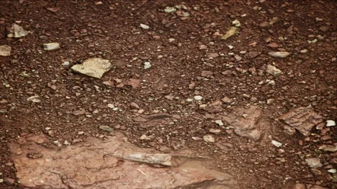 Nature Dry Ground Texture Background Loops Stock Footage 159876916