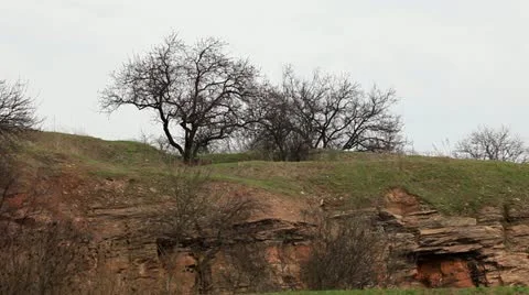 Nature of early spring Stock Footage 10891830