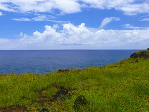 Nature of Easter Island, landscape, vegetation and coast. Stock Photos
