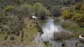 Nature ecosystem landscape with blooming bushes and river puddle 4k or 4k+ Resolution