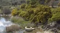 Nature ecosystem landscape with blooming bushes and river puddle 4k or 4k+ Resolution