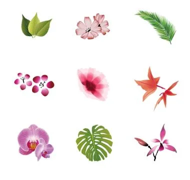 Nature element Stock Illustration