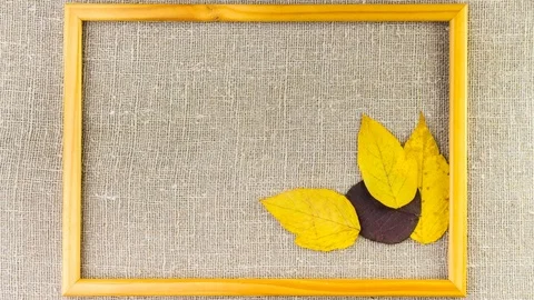 Nature elements on canvas background in wood picture frame Video stock 83079491